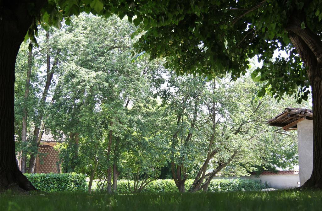 Tenuta Ajrale Vigone Экстерьер фото