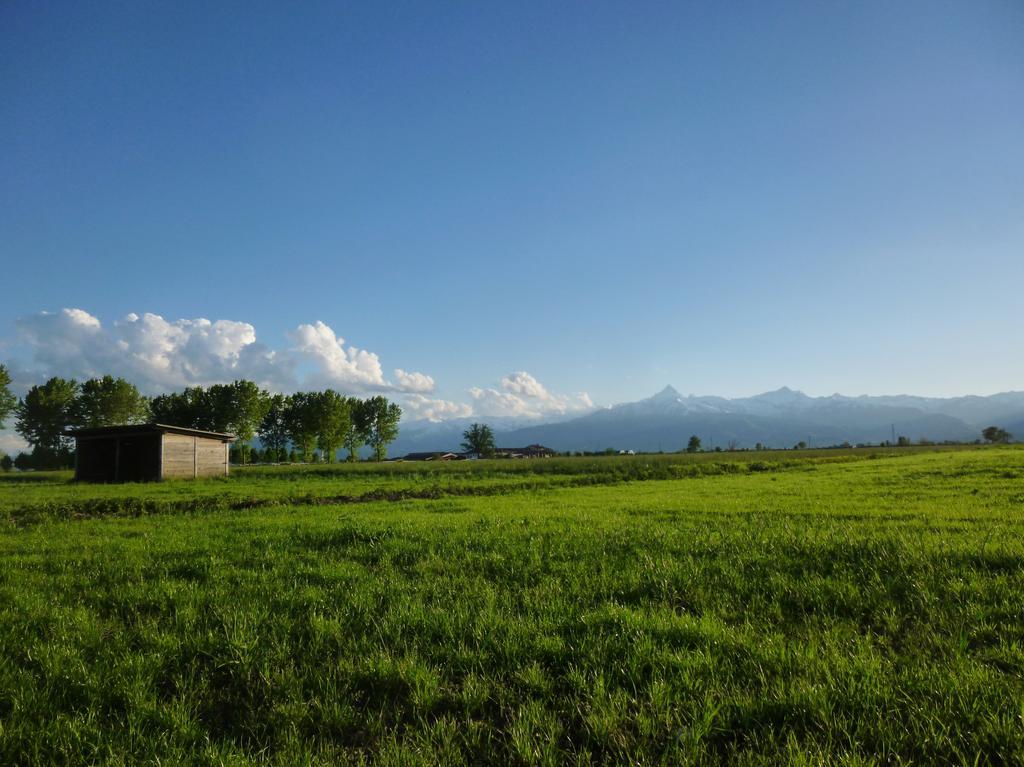 Tenuta Ajrale Vigone Экстерьер фото